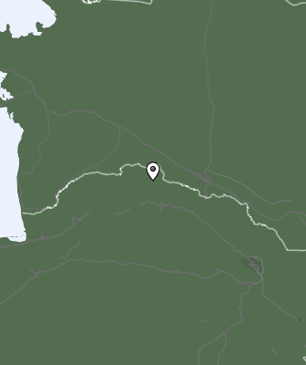 Niederschlagsprognose