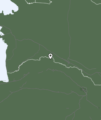Niederschlagsprognose