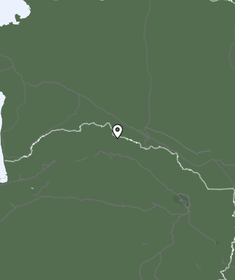 Niederschlagsprognose