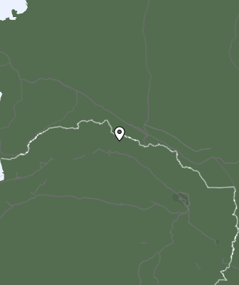 Niederschlagsprognose