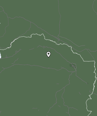 Niederschlagsprognose