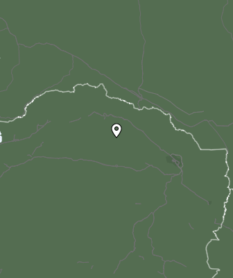 Niederschlagsprognose