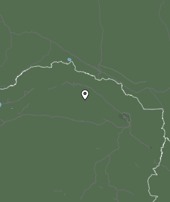 Niederschlagsprognose