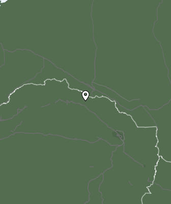 Niederschlagsprognose