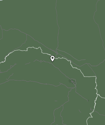 Niederschlagsprognose