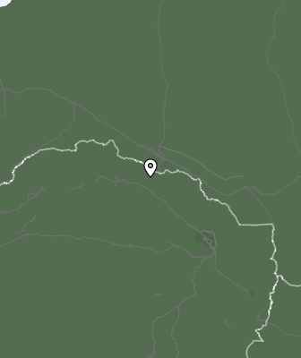 Niederschlagsprognose