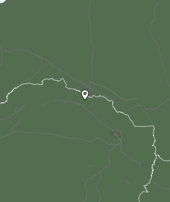 Niederschlagsprognose