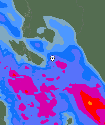 Niederschlagsprognose