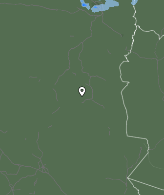 Niederschlagsprognose