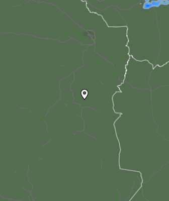 Niederschlagsprognose