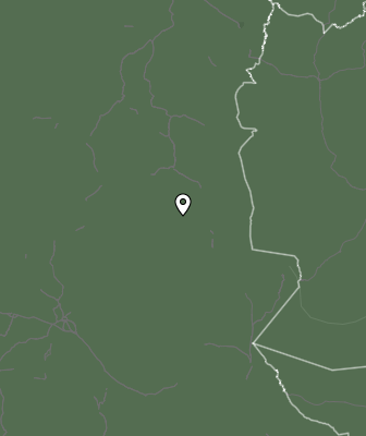 Niederschlagsprognose