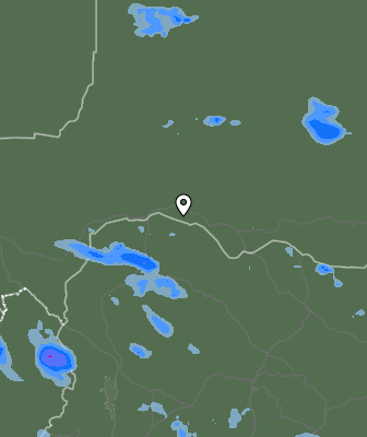 Валежи