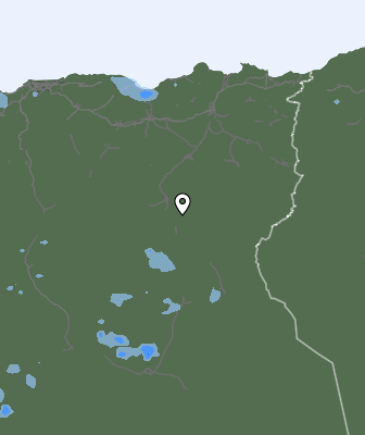 Валежи