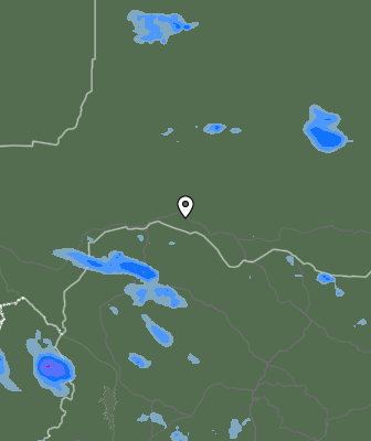 Валежи