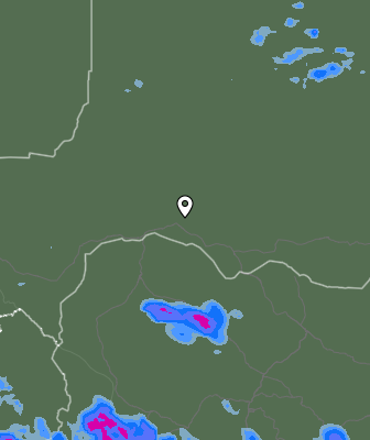 Валежи