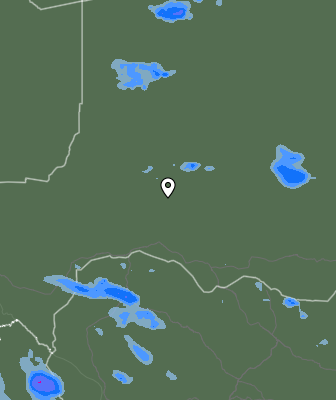 Валежи