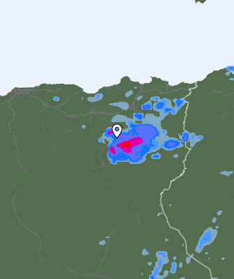 Niederschlagsprognose