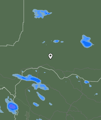 Валежи