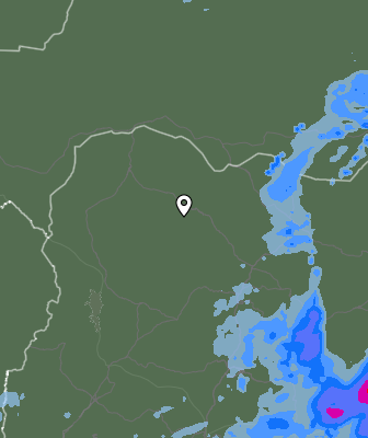 Niederschlagsprognose