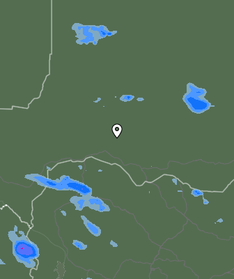 Валежи