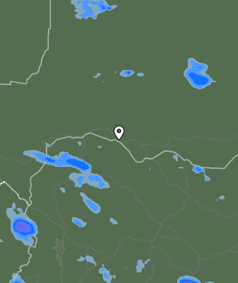 Валежи