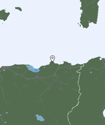 Валежи