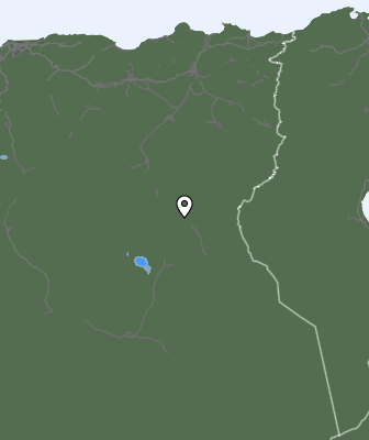 Niederschlagsprognose