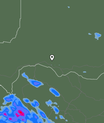 Валежи