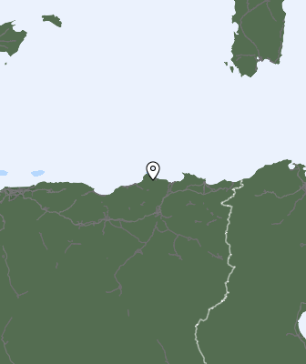 Niederschlagsprognose