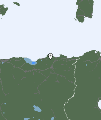 Валежи