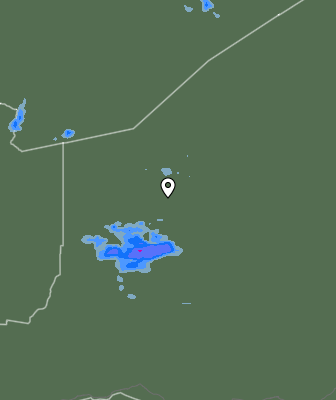 Валежи
