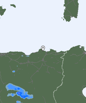 Валежи