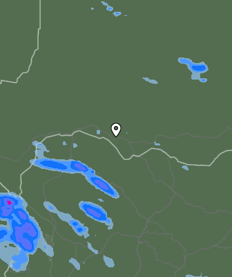 Валежи