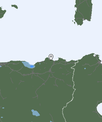 Валежи