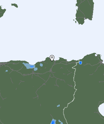 Валежи