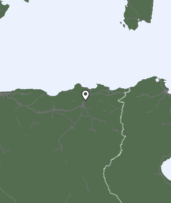 Niederschlagsprognose