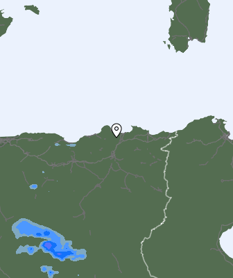 Валежи