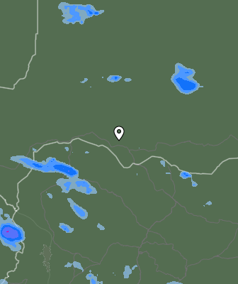 Валежи