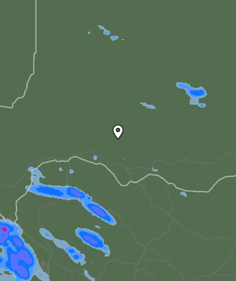 Валежи
