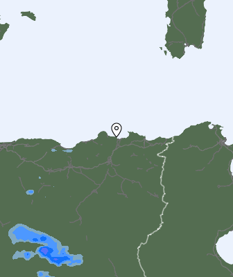 Валежи