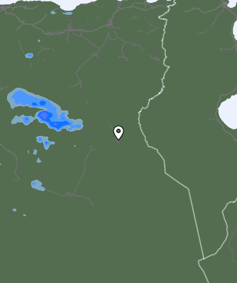 Валежи
