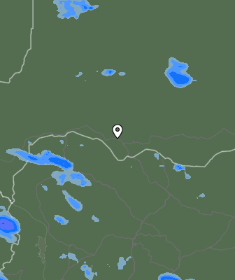 Валежи