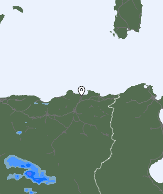Валежи