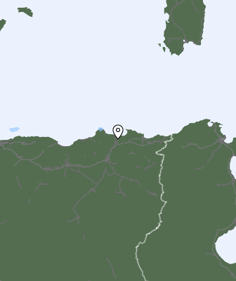 Niederschlagsprognose
