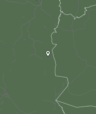 Niederschlagsprognose