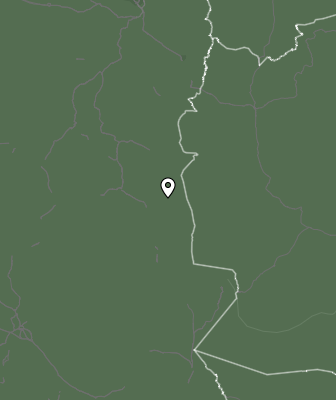 Niederschlagsprognose