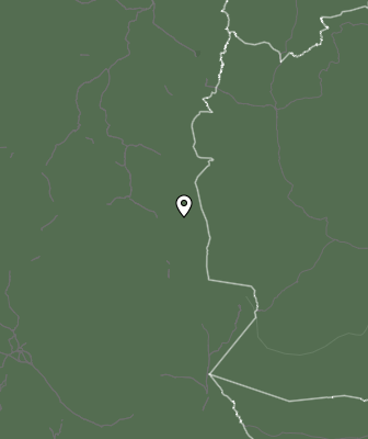 Niederschlagsprognose