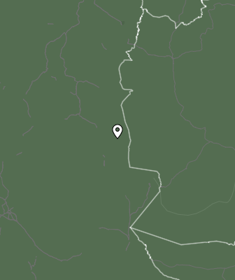 Niederschlagsprognose