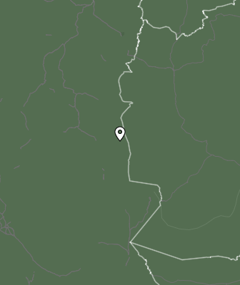 Niederschlagsprognose