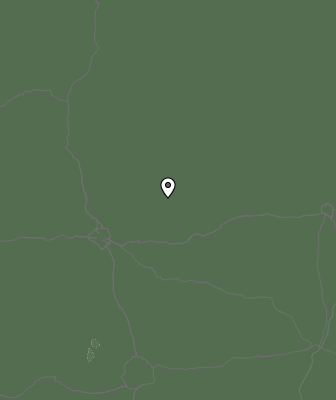 Niederschlagsprognose